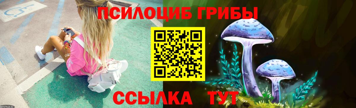 Лесозаводск  Галлюциногенные грибы Psilocybine cubensis  Вход с VPN 